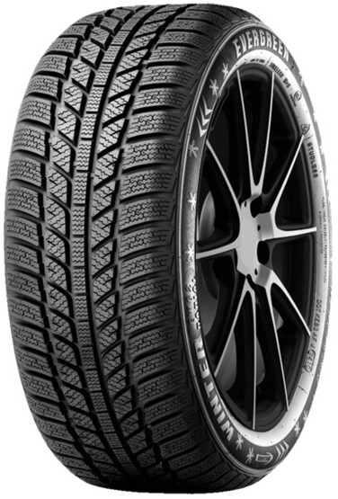 Шина Evergreen Ew62 205/60R16 96H