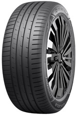 Шина Tercelo Tercesis Eco 205/55R16 91V