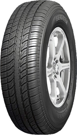 Шина Evergreen Eh 22 215/60R16 99V