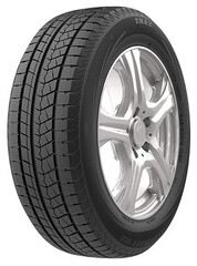 Icepioneer 868